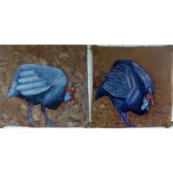 Swe-Swe Guinea Fowl
